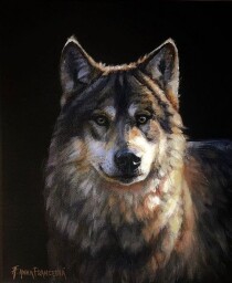 Portrait of a wolf